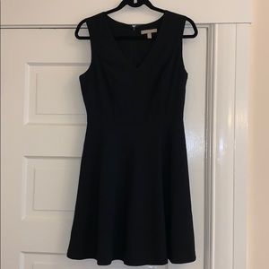 Banana Republic Paneled Fit and Flare Dress